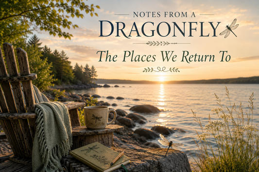 The Places We Return To